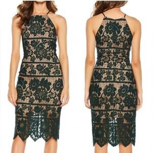 Bardot Lace Sheath Dress Floral